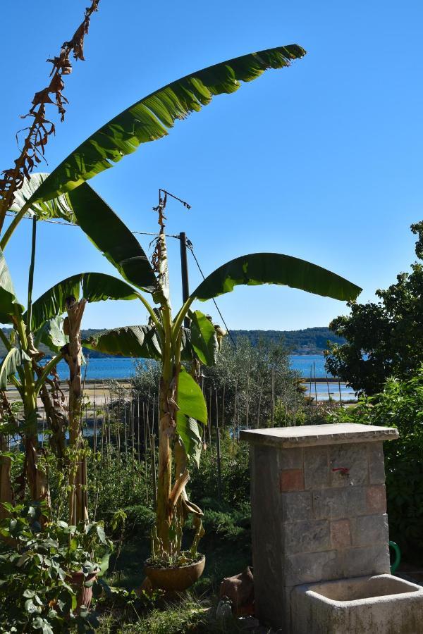 Olive Garden & Sea Apartments Portoroz Luaran gambar