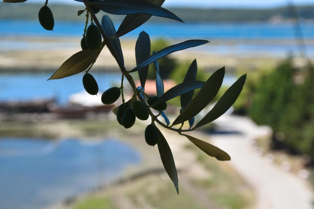 Olive Garden & Sea Apartments Portoroz Luaran gambar
