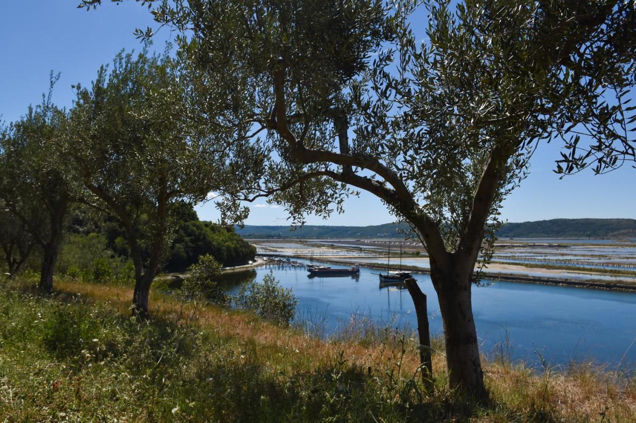 Olive Garden & Sea Apartments Portoroz Luaran gambar